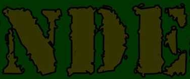logo NDE (USA)
